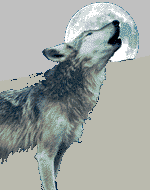 WOLVES & MUSIC